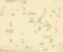 creme