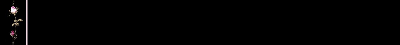 pinrose