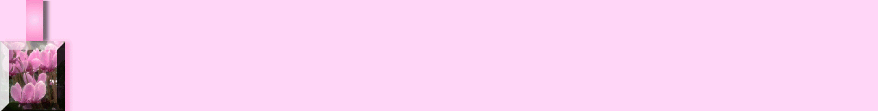 PinkPetal
