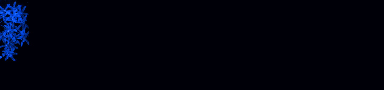flowerblue