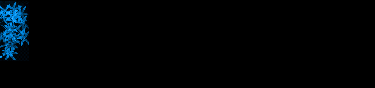 flowerltblue