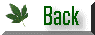 button1