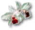 leftflower