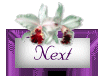 nxtbutton