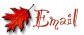 Email Donnabee