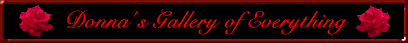 My Tripod Website