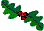 HOLLY