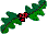 HOLLY